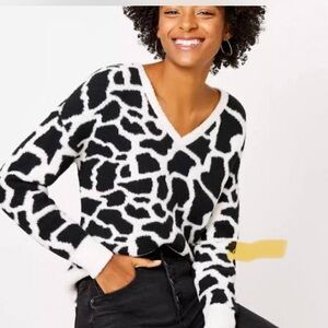 LOFT Black and White V-Neck Sweater